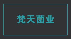 食品行业绍兴冲锋衣设计款式